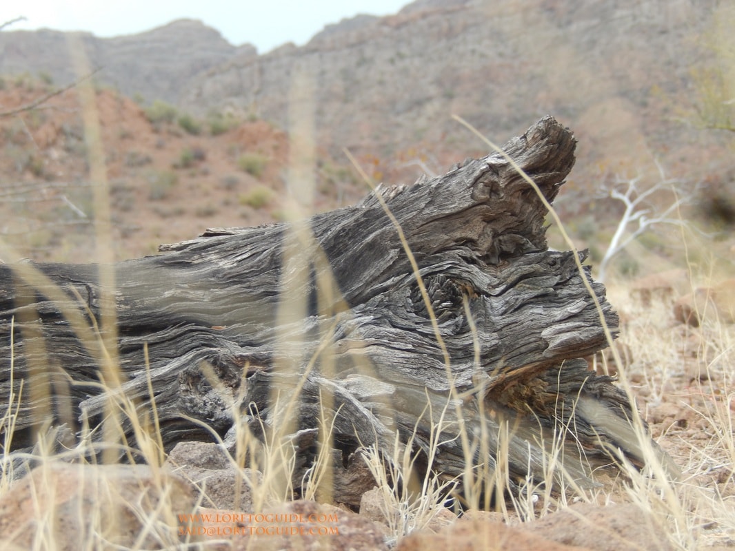 Hiker squeezing through a narrow gap between boulders on a Loreto trail