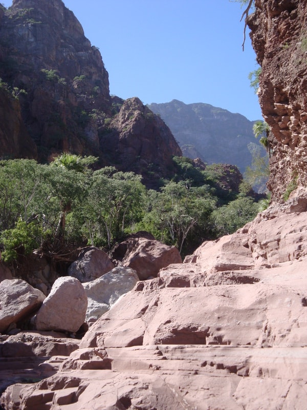 Guide wading through a canyon pool with a hiker following close behind