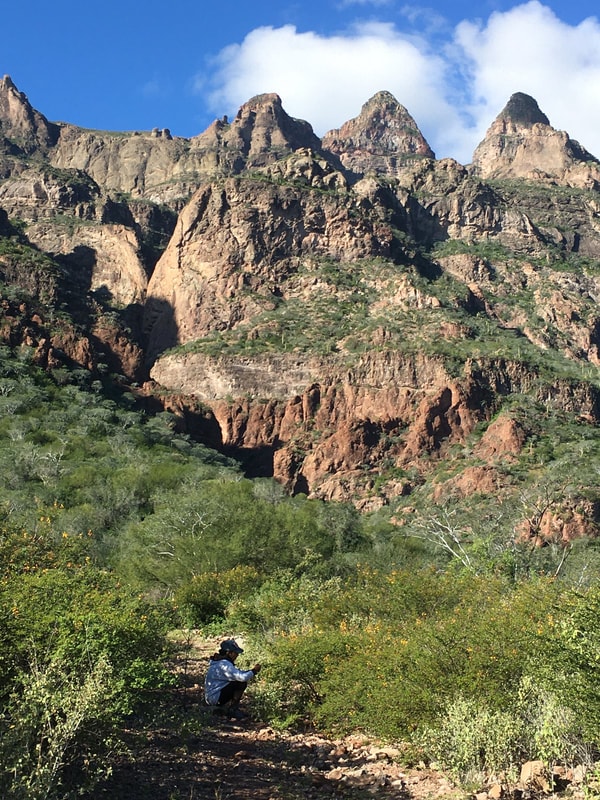 Sweeping view of the Sierra de la Giganta desert mountain range on a Loreto hiking tour