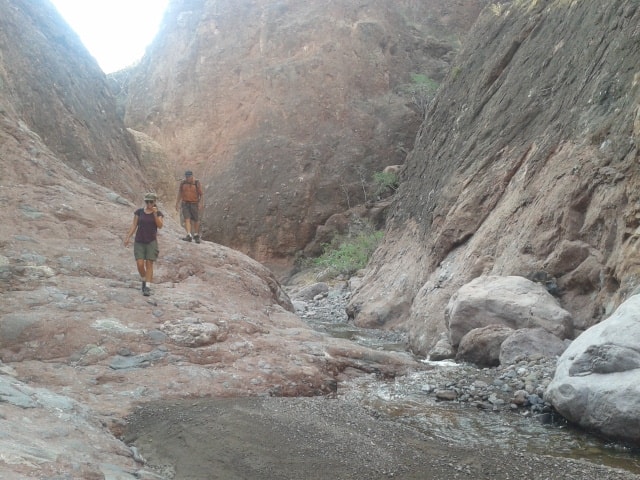 Desert wash trail winding through dry arroyos near Loreto