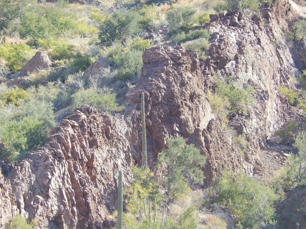 Rugged rocky cliff face with saguaro cactus and desert scrub in the Loreto sierra