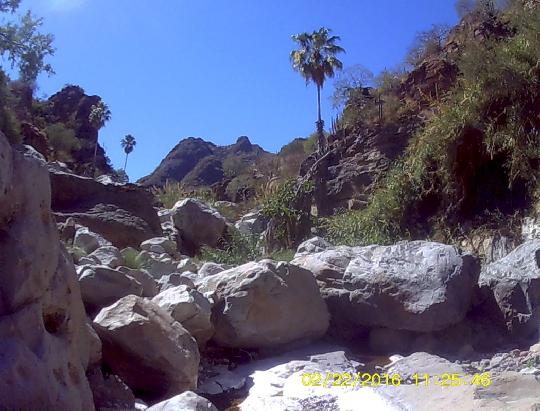 Panoramic view of the Sierra de la Giganta from a hiking trail above Loreto