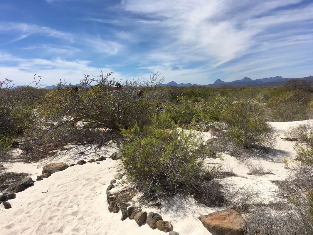 White sand dunes with desert scrub and hikers in the distance, dramatic Sierra de la Giganta peaks stretching across the horizon near Loreto