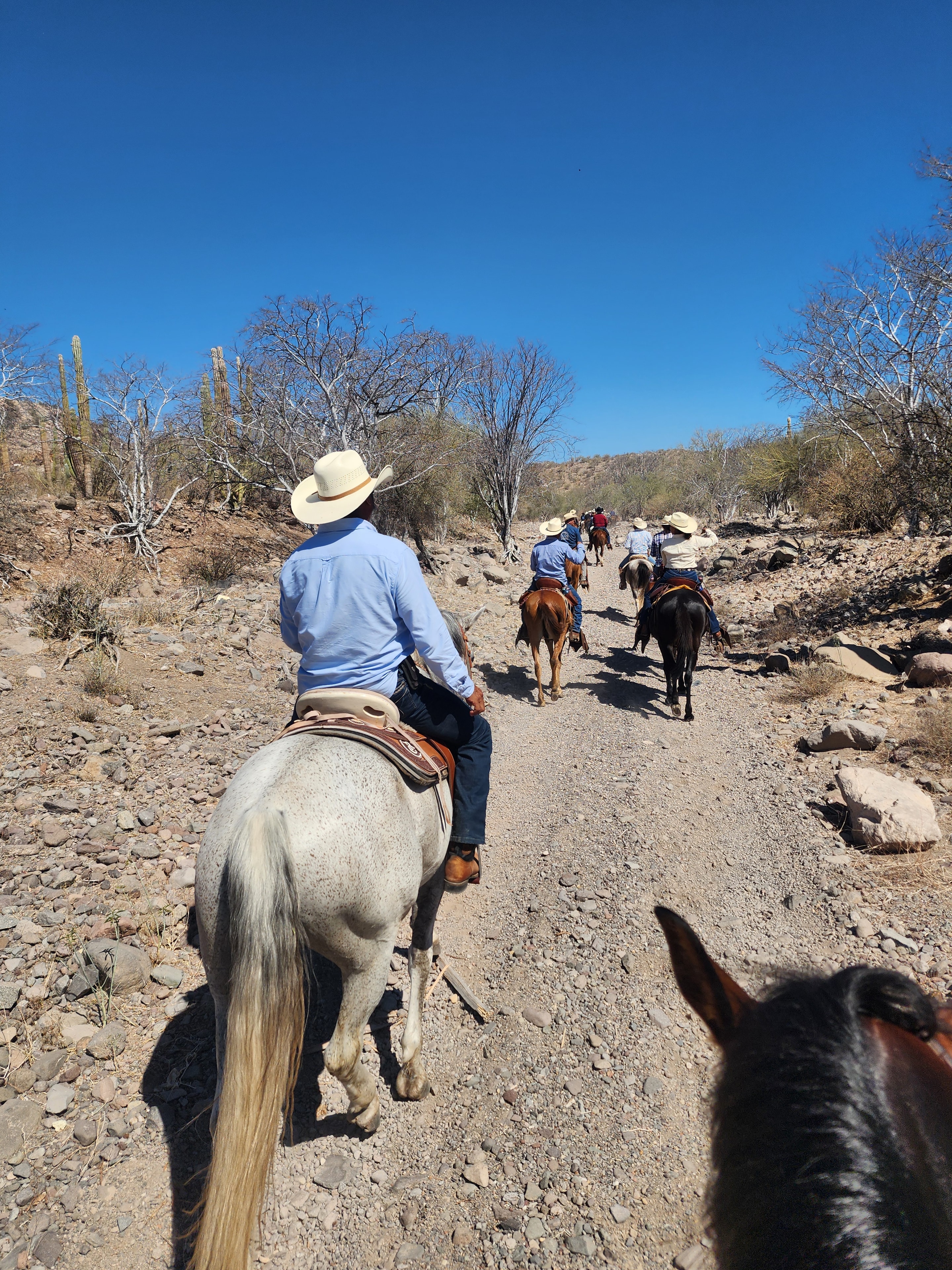Horseback riding on a guided tour near Loreto, Baja California Sur