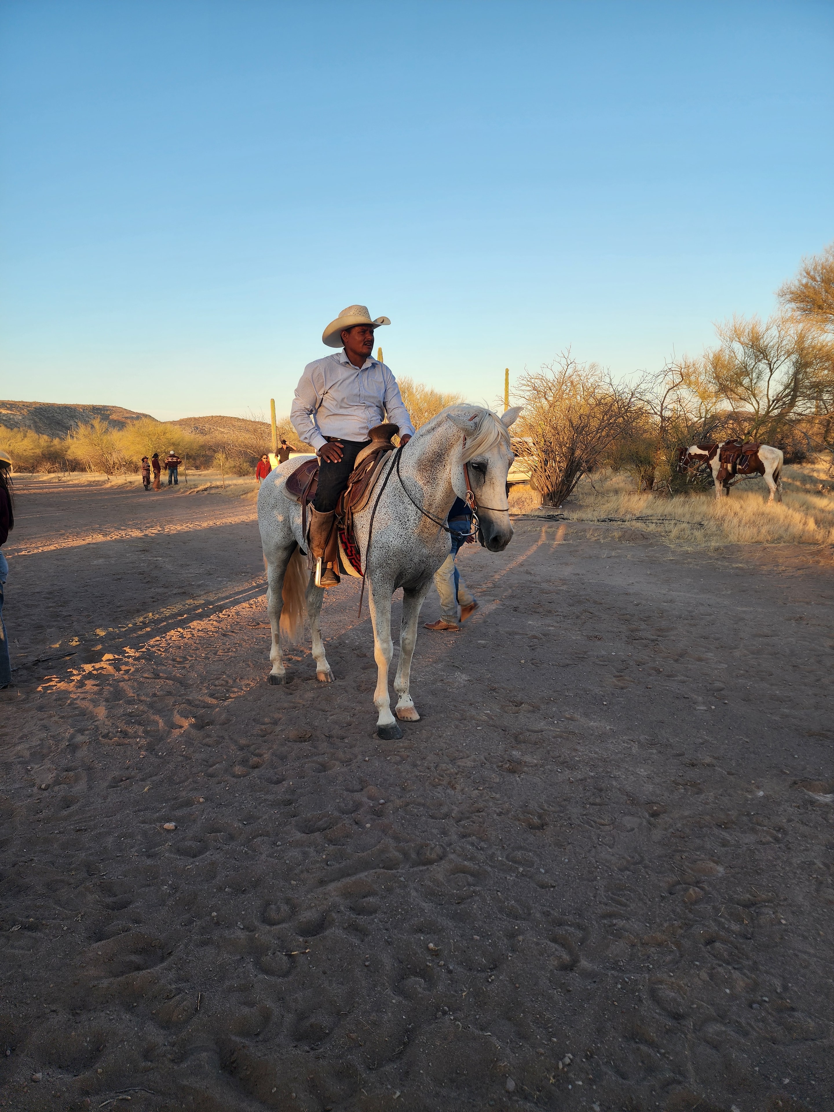 Guided horse tour through the desert landscape near Loreto