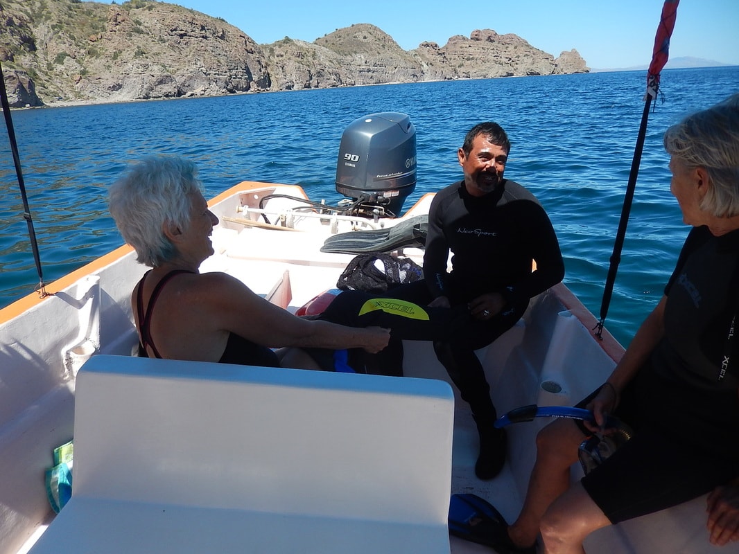 White chalk cliffs and shell-sand beach with the dramatic Sierra de la Giganta mountains rising behind on a Loreto island tour