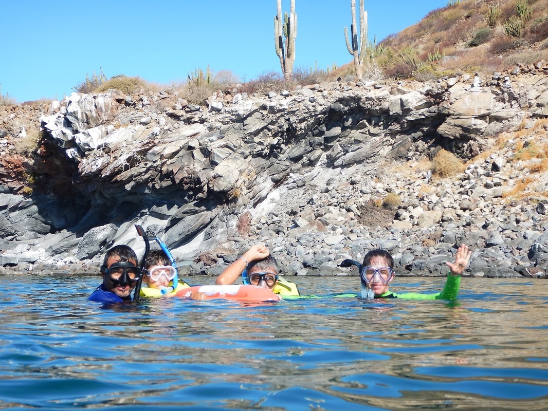 Guide and three kids in snorkel masks waving from the water near volcanic rocks and towering saguaro cactus on a Loreto island tour