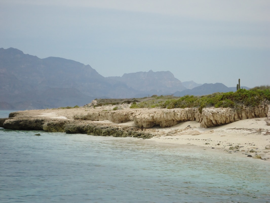 Eroded limestone cliffs and white sand beach with cactus and mountains on a Loreto island tour