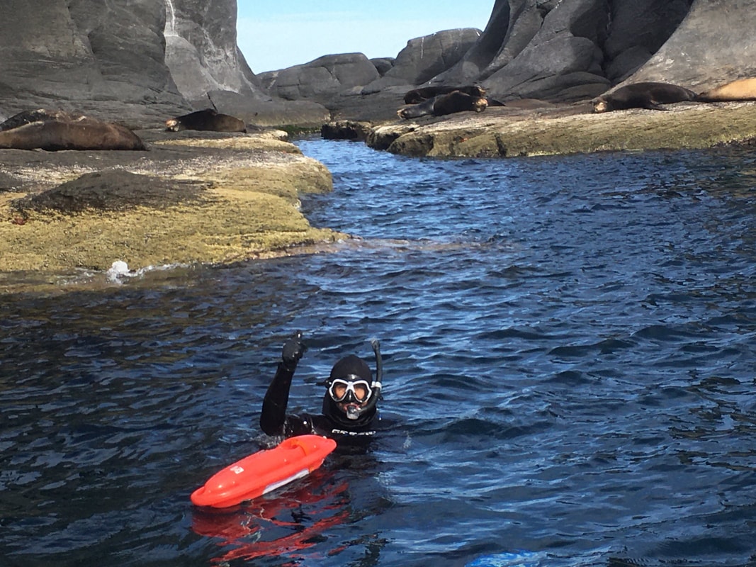 Snorkeler waving from a rocky sea lion channel with sea lions lounging on boulders all around in the Gulf of California near Loreto