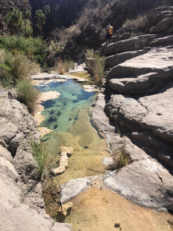 Clear green natural pool at Posa Las Parras in the San Javier canyon